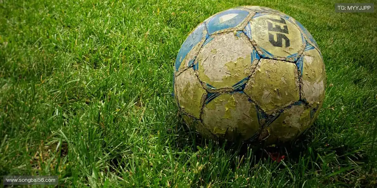 📱🎥 实时追踪,高清无死角!